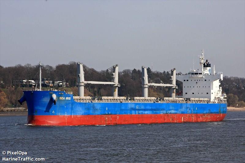 c lion (Bulk Carrier) - IMO 9425916, MMSI 351012000, Call Sign 3EXY4 under the flag of Panama