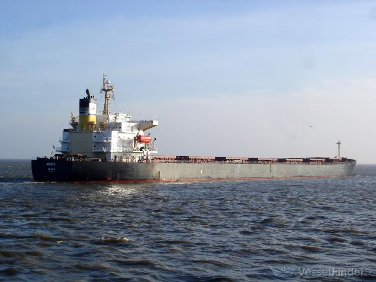 princess katherine (Bulk Carrier) - IMO 9284881, MMSI 356534000, Call Sign 3FWY8 under the flag of Panama