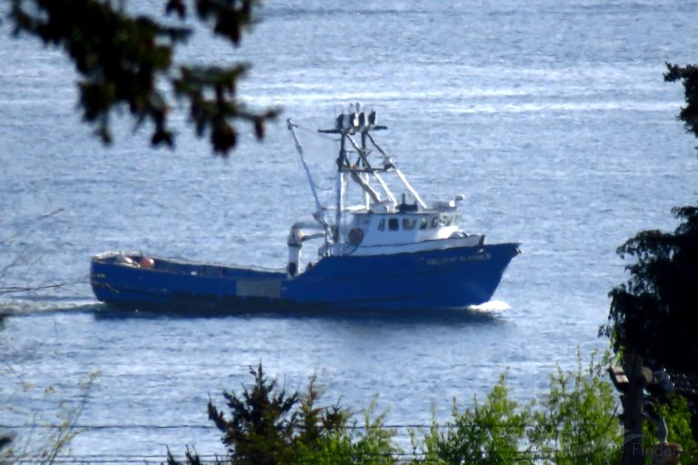 pacific maiden (Fishing vessel) - IMO , MMSI 366734650 under the flag of United States (USA)