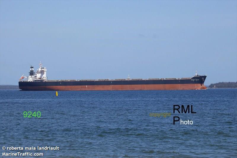 pacific argosy (Bulk Carrier) - IMO 9469986, MMSI 477765300, Call Sign VRKA9 under the flag of Hong Kong