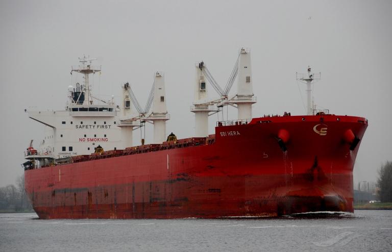 yaya goose (Bulk Carrier) - IMO 9714745, MMSI 538009146, Call Sign V7A4380 under the flag of Marshall Islands