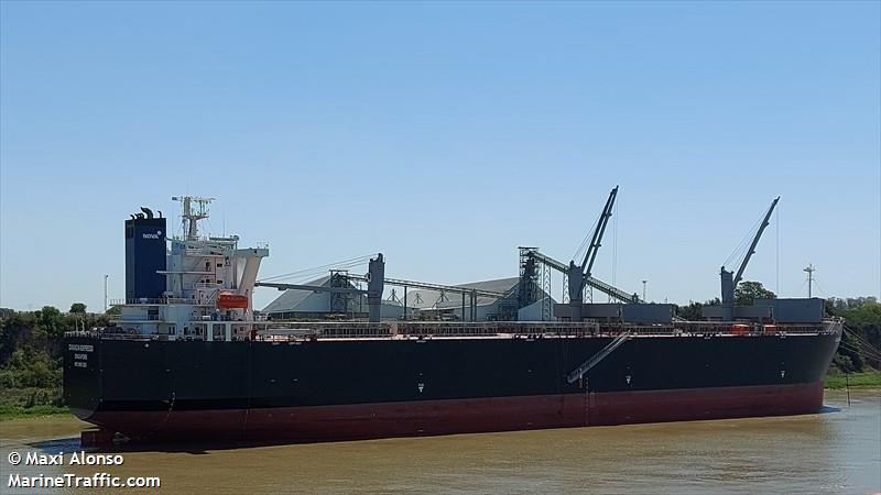 canada express (Wood Chips Carrier) - IMO 9861251, MMSI 563120800, Call Sign 9V6333 under the flag of Singapore