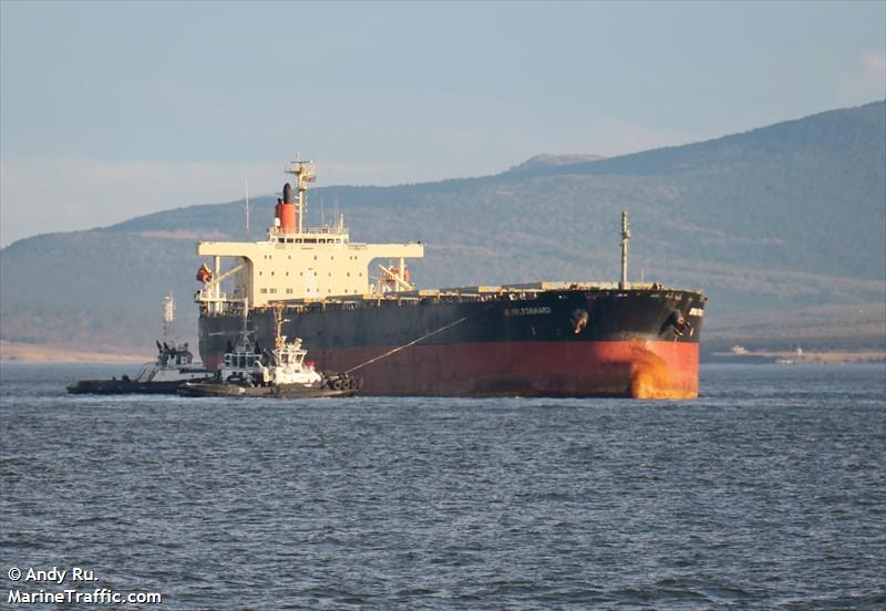 royal forward (Bulk Carrier) - IMO 9277553, MMSI 563859000, Call Sign 9V5122 under the flag of Singapore