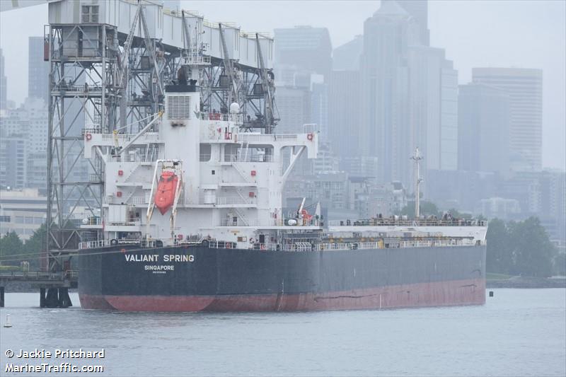 valiant spring (Bulk Carrier) - IMO 9731183, MMSI 564906000, Call Sign 9V3443 under the flag of Singapore