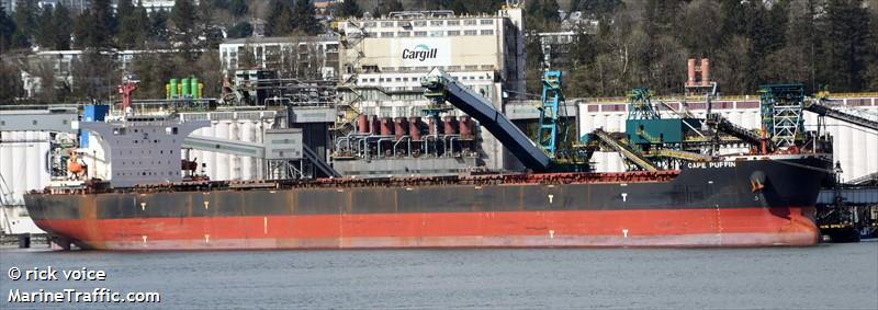 cape puffin (Bulk Carrier) - IMO 9465186, MMSI 636019494, Call Sign D5UT9 under the flag of Liberia