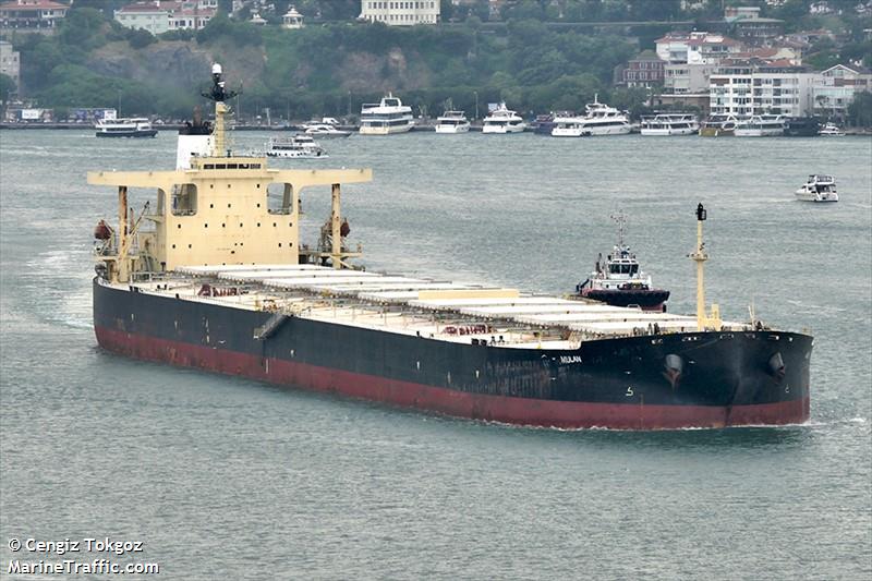 asl earth (Bulk Carrier) - IMO 9301067, MMSI 636020228, Call Sign D5YF8 under the flag of Liberia