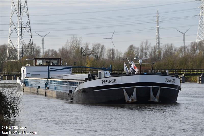 pegase (Cargo ship) - IMO , MMSI 205246090, Call Sign OT2460 under the flag of Belgium