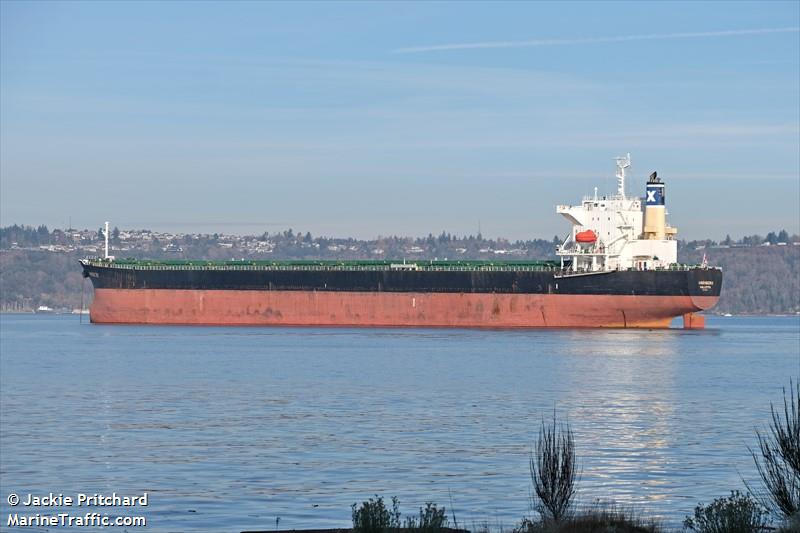 marinicki (Bulk Carrier) - IMO 9325063, MMSI 249650000, Call Sign 9HWU9 under the flag of Malta