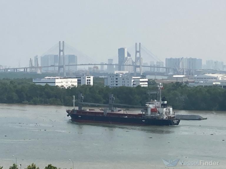 tan binh 79 (General Cargo Ship) - IMO 9254276, MMSI 353058000, Call Sign HOBT under the flag of Panama