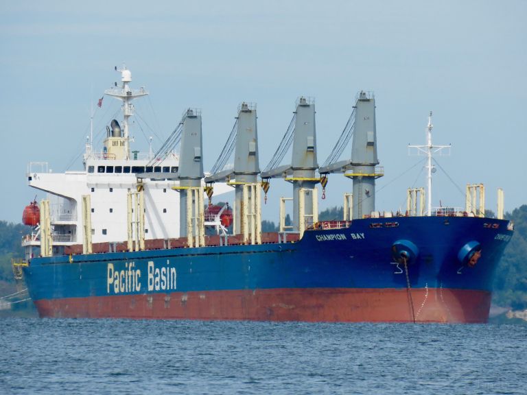 microchip (Bulk Carrier) - IMO 9218040, MMSI 371497000, Call Sign H8JM under the flag of Panama