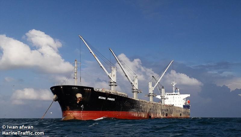 meghna paradise (Bulk Carrier) - IMO 9350070, MMSI 405000246, Call Sign S2AM8 under the flag of Bangladesh