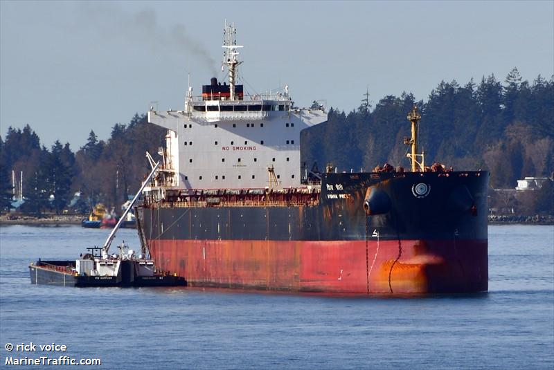 vishva preeti (Bulk Carrier) - IMO 9533490, MMSI 419000313, Call Sign AVLZ under the flag of India