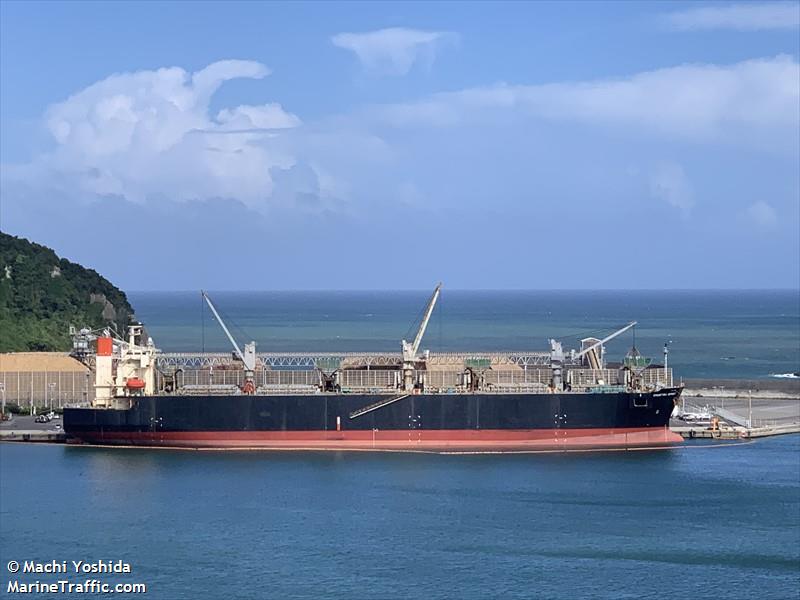 chuetsu spirit (Wood Chips Carrier) - IMO 9344057, MMSI 431495000, Call Sign 7JZZ under the flag of Japan