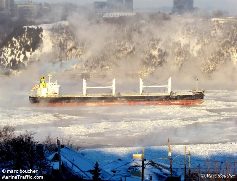 lowlands future (Bulk Carrier) - IMO 9799771, MMSI 563025800, Call Sign 9V5453 under the flag of Singapore