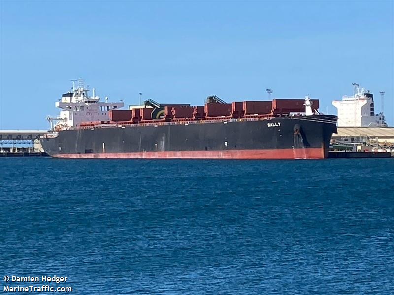 sally (Wood Chips Carrier) - IMO 9841213, MMSI 636019281, Call Sign D5TU2 under the flag of Liberia