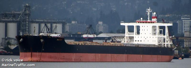 pacifist (Bulk Carrier) - IMO 9573775, MMSI 636020330, Call Sign D5YS6 under the flag of Liberia