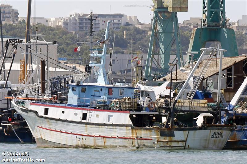 elissa (Fishing vessel) - IMO , MMSI 215000323, Call Sign 9HB4913 under the flag of Malta