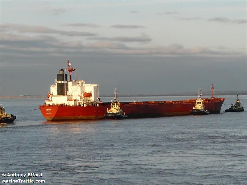 seajoy (Bulk Carrier) - IMO 9213820, MMSI 215208000, Call Sign 9HGN7 under the flag of Malta