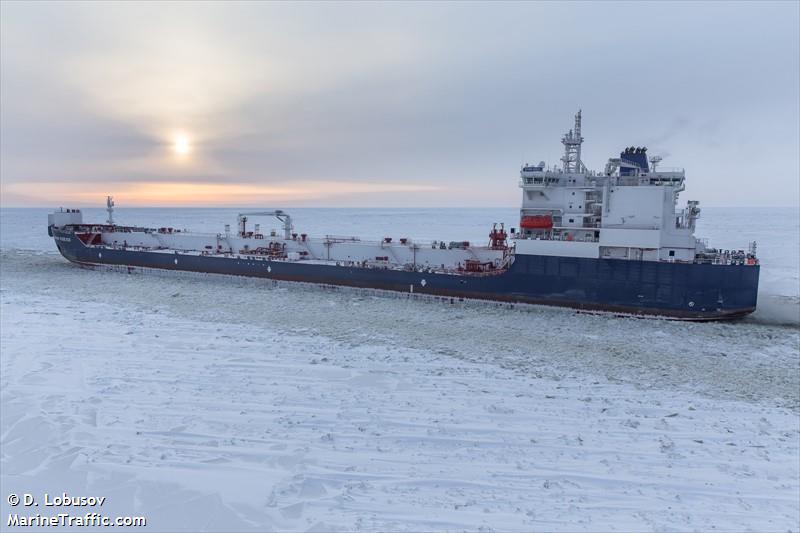 shturman koshelev (Crude Oil Tanker) - IMO 9759939, MMSI 273391160, Call Sign UCMR under the flag of Russia