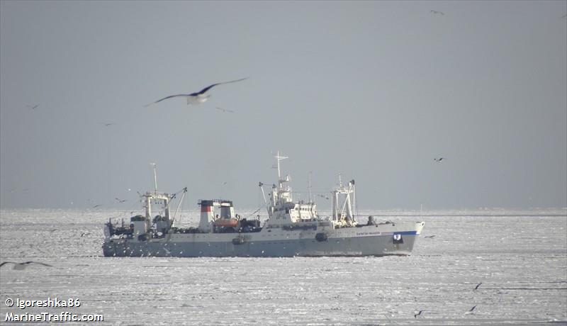 kapitan faleyev (Fish Factory Ship) - IMO 8721131, MMSI 273822210, Call Sign UBJZ under the flag of Russia