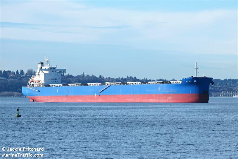 btg apo (Bulk Carrier) - IMO 9887358, MMSI 311001016, Call Sign C6EV9 under the flag of Bahamas