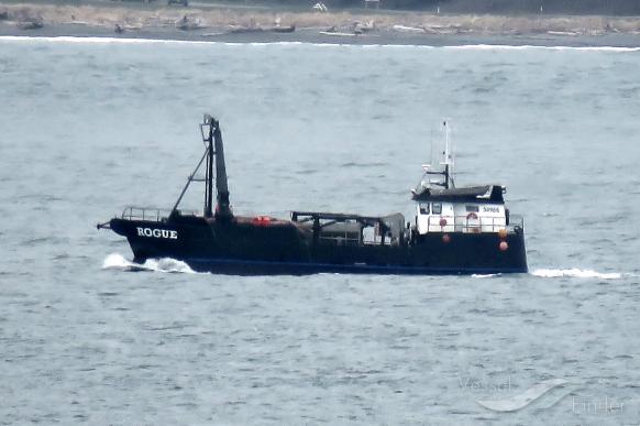 rogue (Fishing Vessel) - IMO 8990809, MMSI 368633000, Call Sign WDI4732 under the flag of United States (USA)