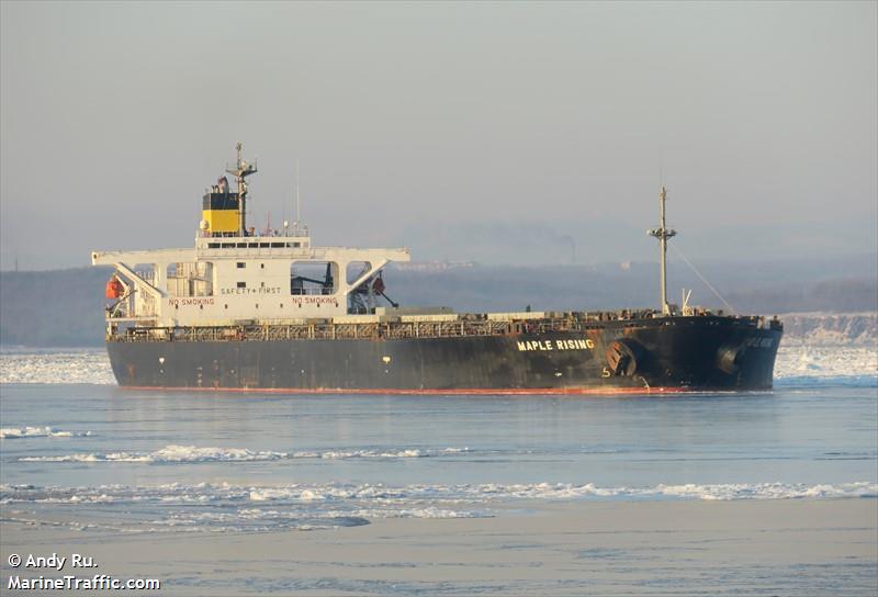 maple rising (Bulk Carrier) - IMO 9291341, MMSI 371360000, Call Sign 3FBQ9 under the flag of Panama
