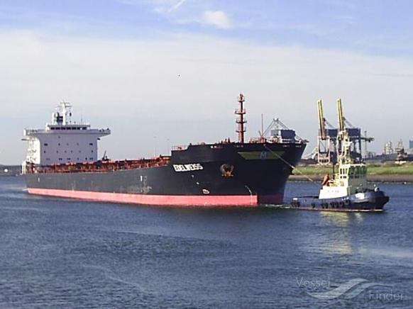 sino trader (Bulk Carrier) - IMO 9283980, MMSI 372377000, Call Sign H9MS under the flag of Panama