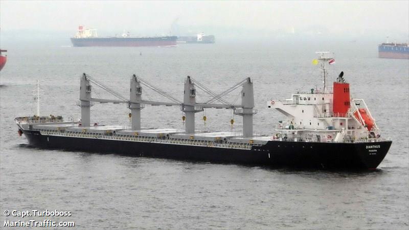 dianthus (Bulk Carrier) - IMO 9615080, MMSI 373344000, Call Sign HOLH under the flag of Panama