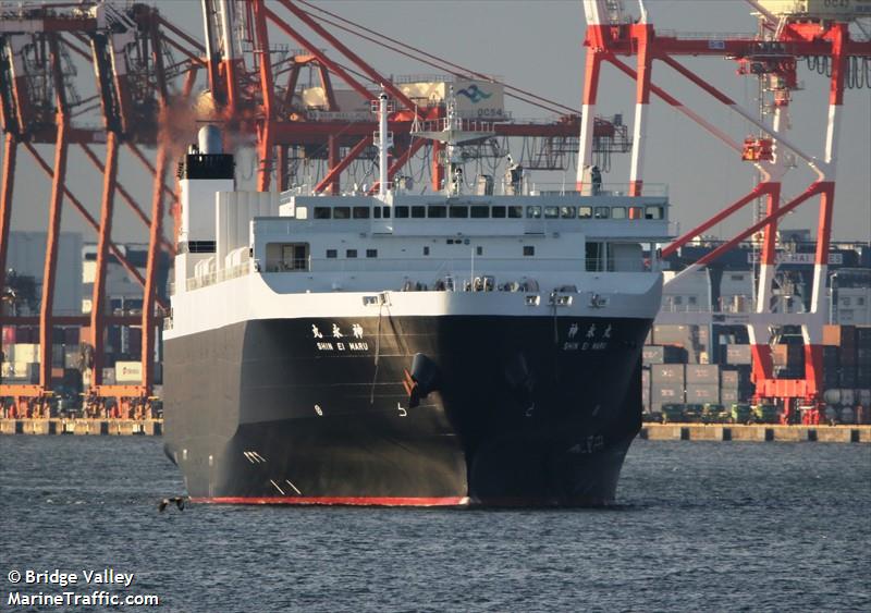shin ei maru (Ro-Ro Cargo Ship) - IMO 9866512, MMSI 431015938, Call Sign JD4866 under the flag of Japan
