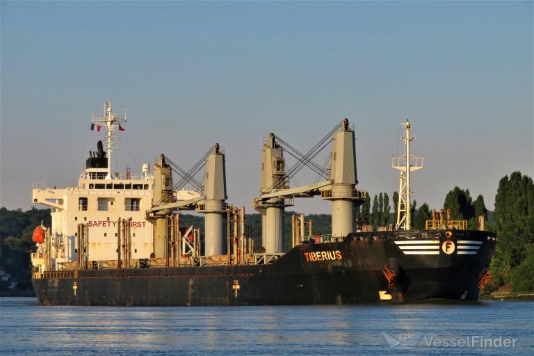 tiberius (Bulk Carrier) - IMO 9665841, MMSI 538007754, Call Sign V7AM5 under the flag of Marshall Islands