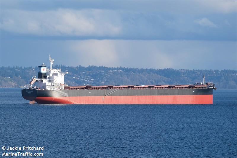 ever shining (Bulk Carrier) - IMO 9883675, MMSI 636020205, Call Sign D5YD2 under the flag of Liberia