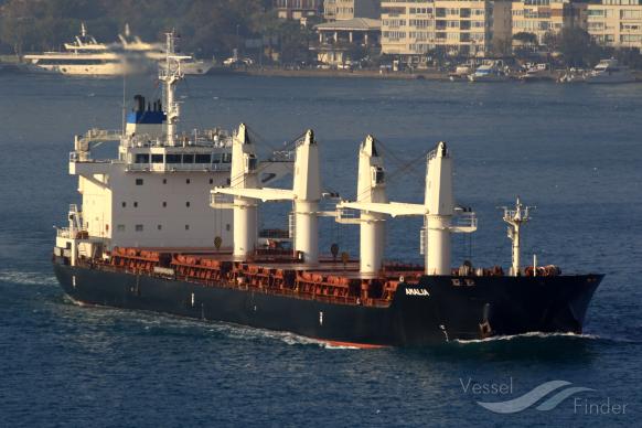 amalia (Bulk Carrier) - IMO 9588354, MMSI 215228000, Call Sign 9HA2677 under the flag of Malta