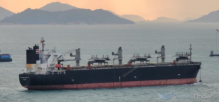 glorious hibiscus (Wood Chips Carrier) - IMO 9515216, MMSI 373048000, Call Sign 3EUF4 under the flag of Panama