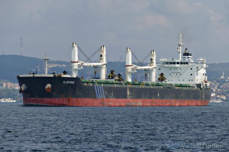 ilenao (Bulk Carrier) - IMO 9524683, MMSI 636017495, Call Sign D5LG2 under the flag of Liberia