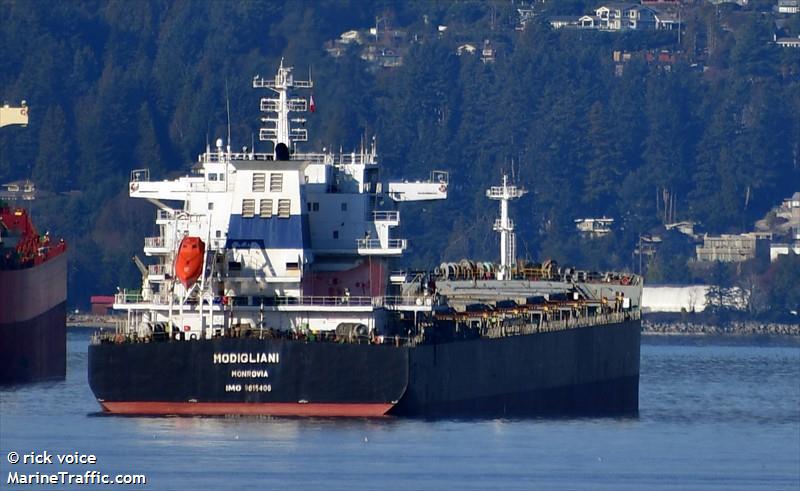 modigliani (Bulk Carrier) - IMO 9615406, MMSI 636017985, Call Sign D5NR2 under the flag of Liberia