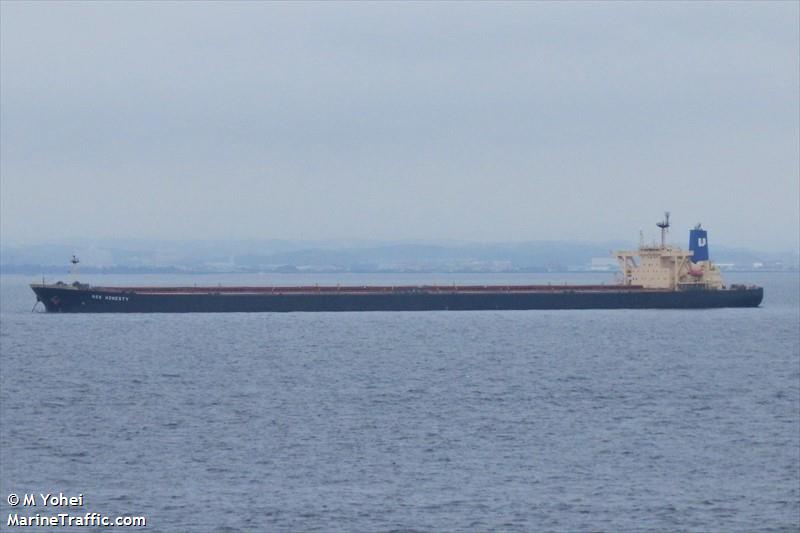 cape apollo (Bulk Carrier) - IMO 9324136, MMSI 210005000, Call Sign 5BQS5 under the flag of Cyprus