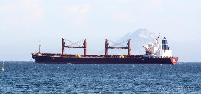 eleni m (Bulk Carrier) - IMO 9228033, MMSI 248945000, Call Sign 9HXA6 under the flag of Malta