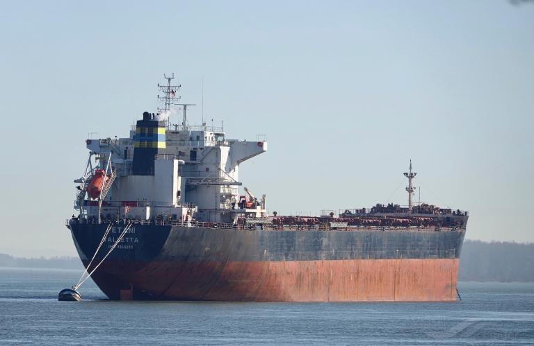 petani (Bulk Carrier) - IMO 9363065, MMSI 249029000, Call Sign 9HIO9 under the flag of Malta