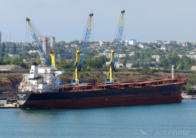 wei ye fu yun (Bulk Carrier) - IMO 9305142, MMSI 414352000, Call Sign BTJA3 under the flag of China