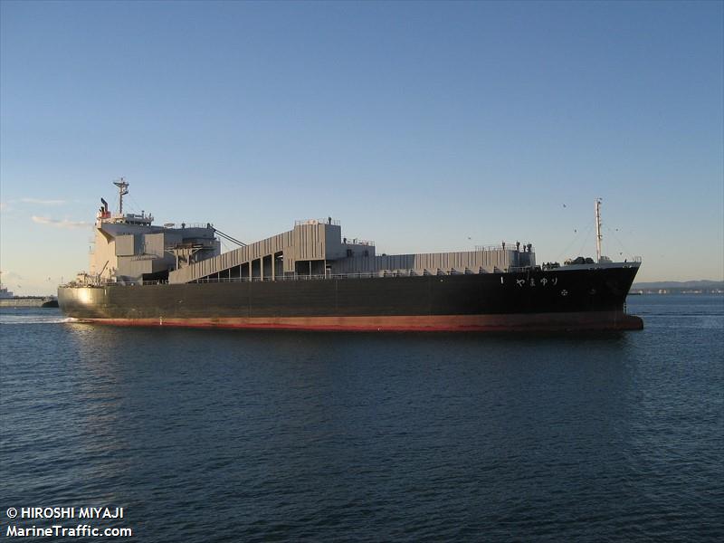 yamayuri (Bulk Carrier) - IMO 9307853, MMSI 431401967, Call Sign JG5708 under the flag of Japan