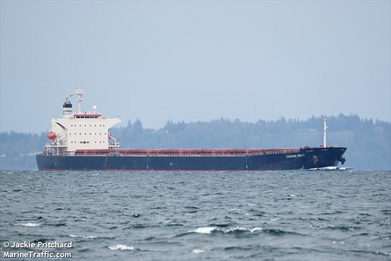 ocean belt (Bulk Carrier) - IMO 9384930, MMSI 477151400, Call Sign VRRF2 under the flag of Hong Kong