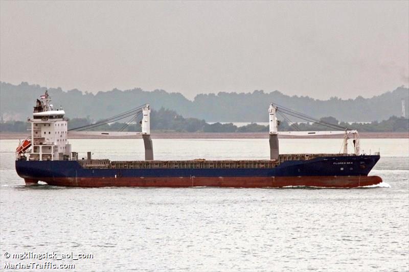 flores sea (General Cargo Ship) - IMO 9372925, MMSI 525016535, Call Sign PNBH under the flag of Indonesia