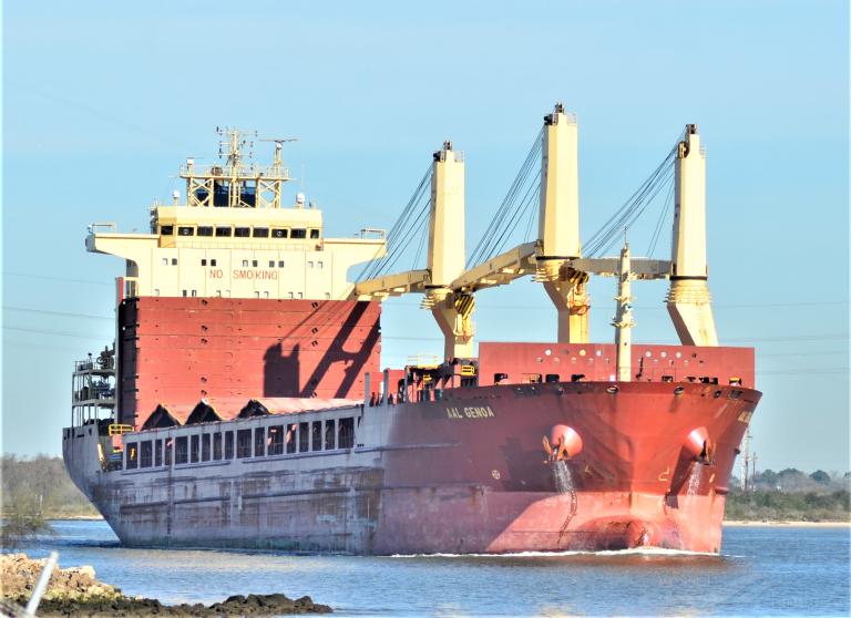 aal genoa (General Cargo Ship) - IMO 9393553, MMSI 210843000, Call Sign 5BVW2 under the flag of Cyprus