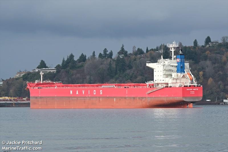 navios amitie (Bulk Carrier) - IMO 9909053, MMSI 357153000, Call Sign 3EHY8 under the flag of Panama