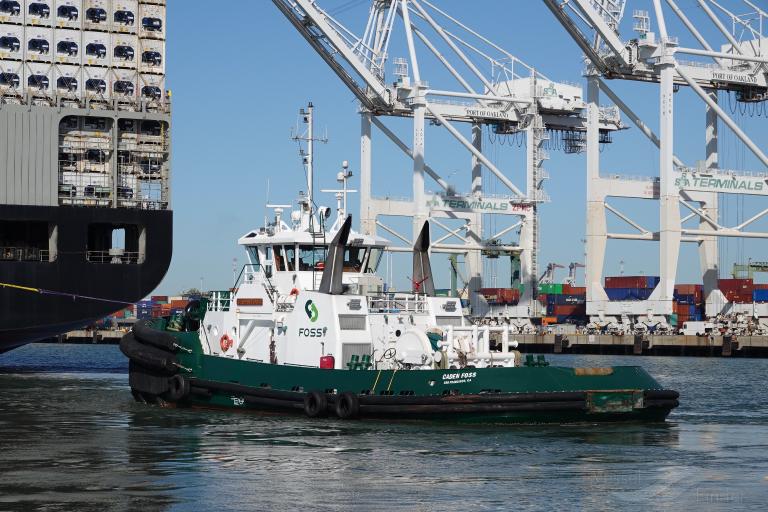 delta deanna (Tug) - IMO 9833979, MMSI 368180460, Call Sign WDL9594 under the flag of United States (USA)