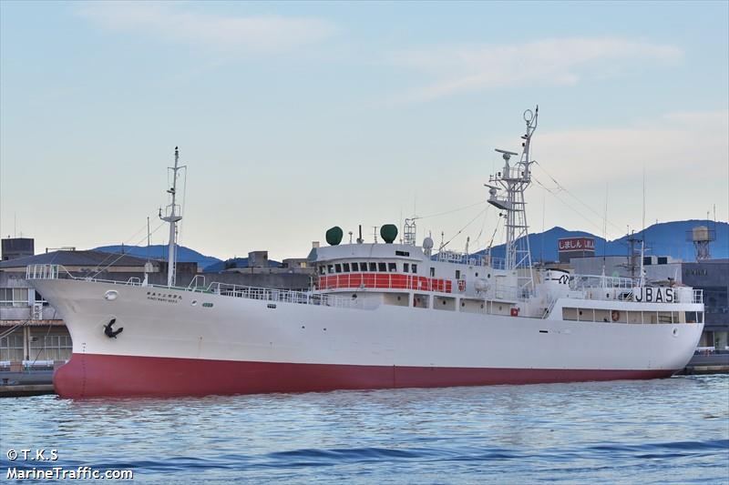 kinei maru no.53 (Fishing Vessel) - IMO 9189031, MMSI 431380000, Call Sign JBAS under the flag of Japan