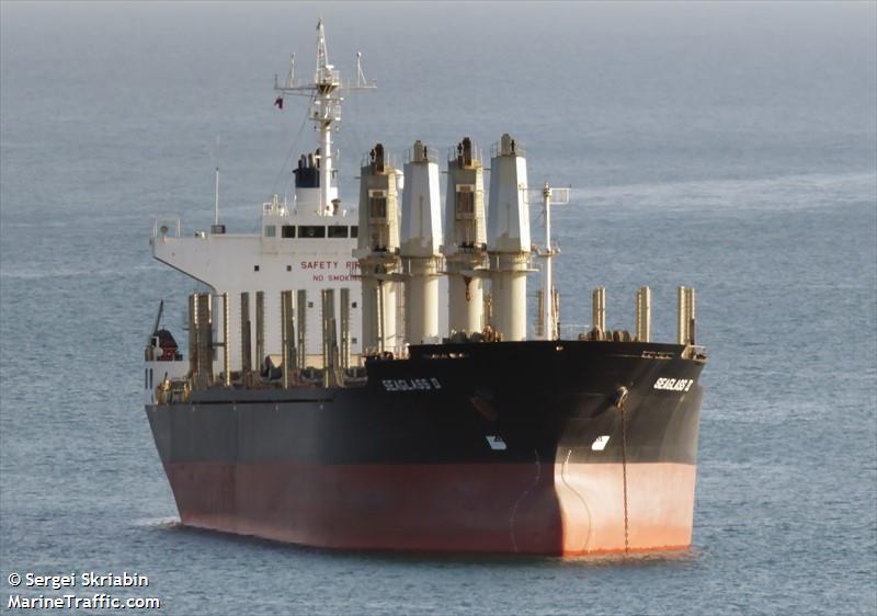 seaglass ii (Bulk Carrier) - IMO 9498925, MMSI 538003264, Call Sign V7PO4 under the flag of Marshall Islands