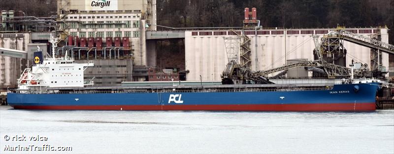 red marlin (Bulk Carrier) - IMO 9738222, MMSI 538007177, Call Sign V7YD9 under the flag of Marshall Islands