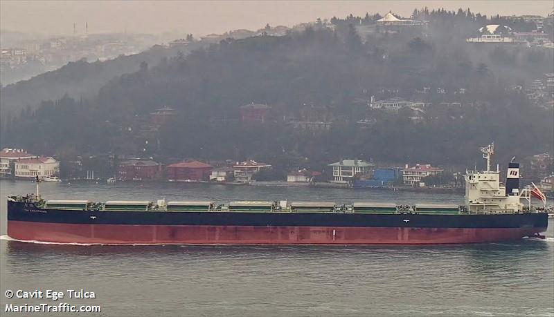 tai knighthood (Bulk Carrier) - IMO 9883845, MMSI 636020408, Call Sign D5ZB8 under the flag of Liberia
